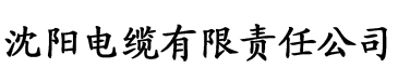 亚洲欧美精品SUV电缆厂logo